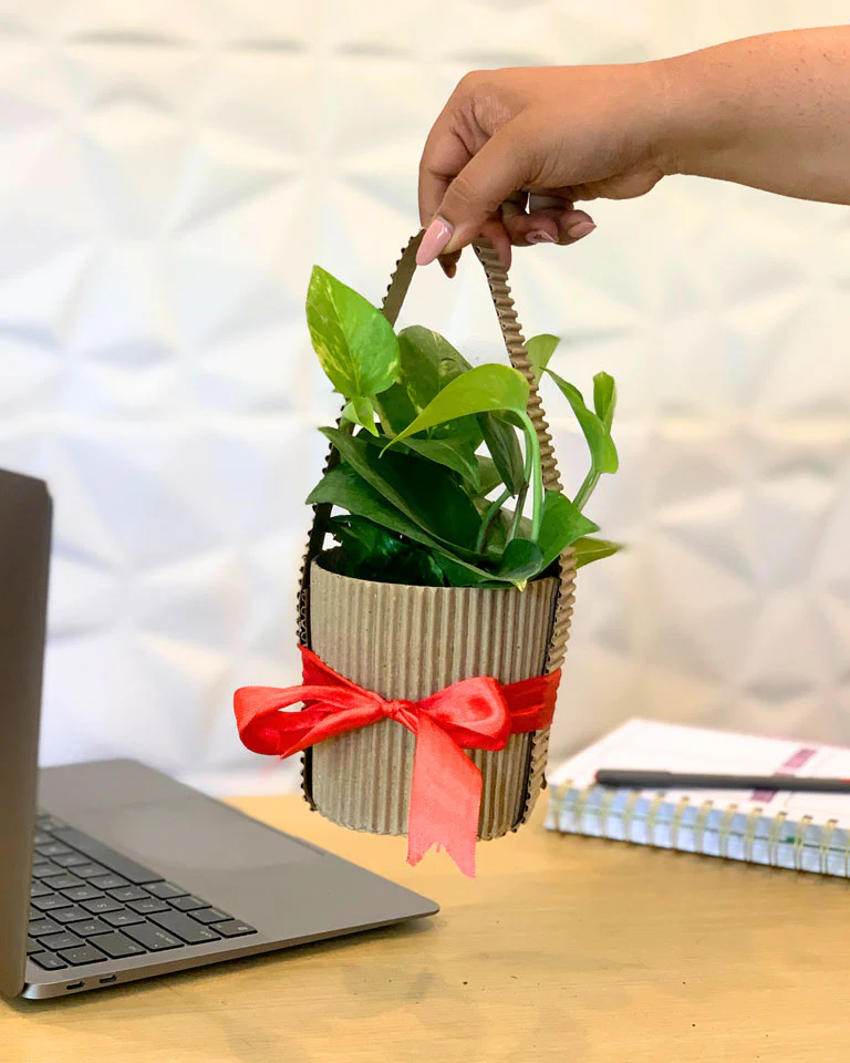 Corporate Gift Planting